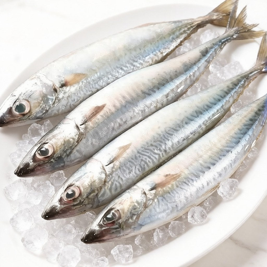 Three whole silver mackerel laid out on crushed ice