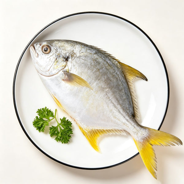 Yellowfin Sea Bream